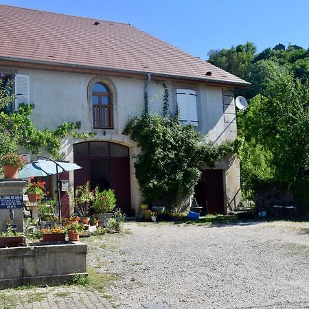 Spacious Apartment In Old Farm Close To Lac De Vouglans La Tour-du-Meix Exterior foto